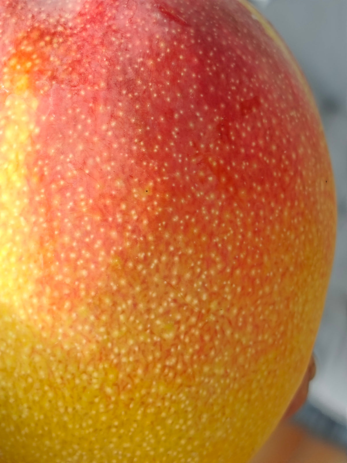 Mangue